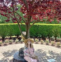 Jeanette Smith's profile image