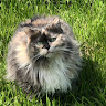 Kimberly W.'s profile image