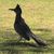 Tom Herrmann's profile image