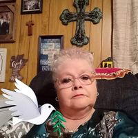 Carolyn Stan's profile image
