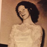 Kelley Van Dyke's profile image