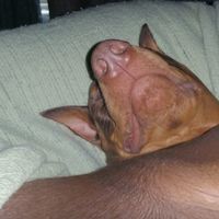 Michelle Owens's profile image