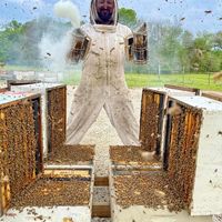 Matthew Winstead's profile image
