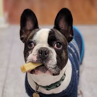 Kale Webster's profile image