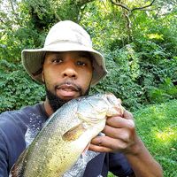 Doug Bennett's profile image