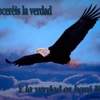 Francisco Javier's profile image