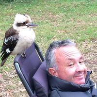 Milton Doyle's profile image