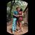 Lyynn Nelson's profile image