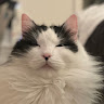 Megan R.'s profile image