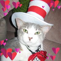 Joan Hinderliter-Darnell's profile image