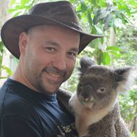 Marc Toth's profile image