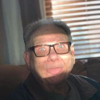 Dana D'Angelo Kleinschmidt's profile image