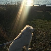 Melissa Riley's profile image