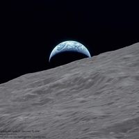 Jeff Murray's profile image