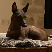 Lisa Feltman Jacobs's profile image