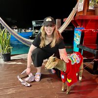 Liz Bernstein's profile image