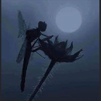 Amy Catherine's profile image
