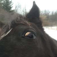 Trevor SA's profile image