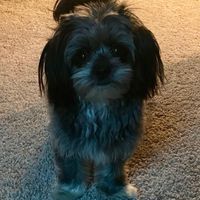 Bennicia Davis's profile image