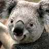 vinni S.'s profile image