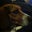 🍰🍰Trish Lauton 🍰🍰's profile image