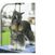 Marie Pletsch's profile image