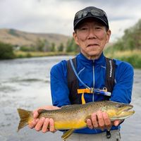 Ted Kim's profile image