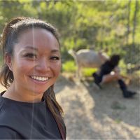Kim Corrigan's profile image