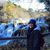 Judy Gaynier Hoogland's profile image