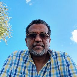 Motaz's profile image