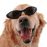 The H.'s profile image