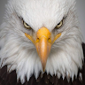 Luv B.'s profile image