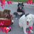Susie John N Yogi's profile image