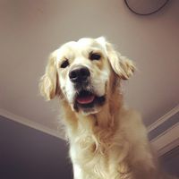 Jac Sun's profile image
