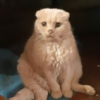 Helen Cassidy's profile image