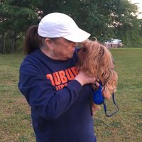Sandy Horn Meadows's profile image