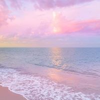 Susan Dennis Hinton's profile image