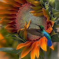 Tracey Lee Byrd Manemann's profile image