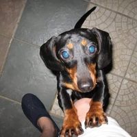 Lynn Marie Worsham Post's profile image