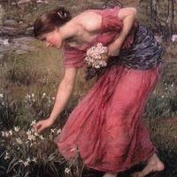 Jennifer Bergman's profile image