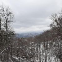 Michelle Cooper's profile image