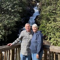 Lyn Brock's profile image