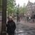 Sheila Bott's profile image