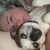 Joanne Slater's profile image