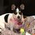 Cindy Freeman's profile image