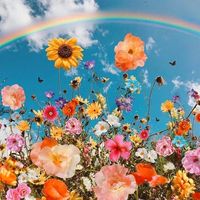 Ruth Anne Parsons Jordan's profile image