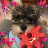 Heather Marie's profile image