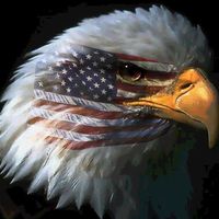 Shirley Westra's profile image
