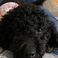 Karen Mohn Baker's profile image