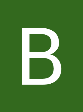 Bernie's profile image